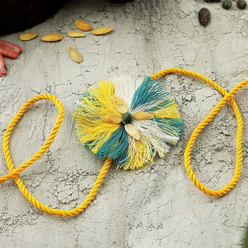 Seeds Rakhi Online